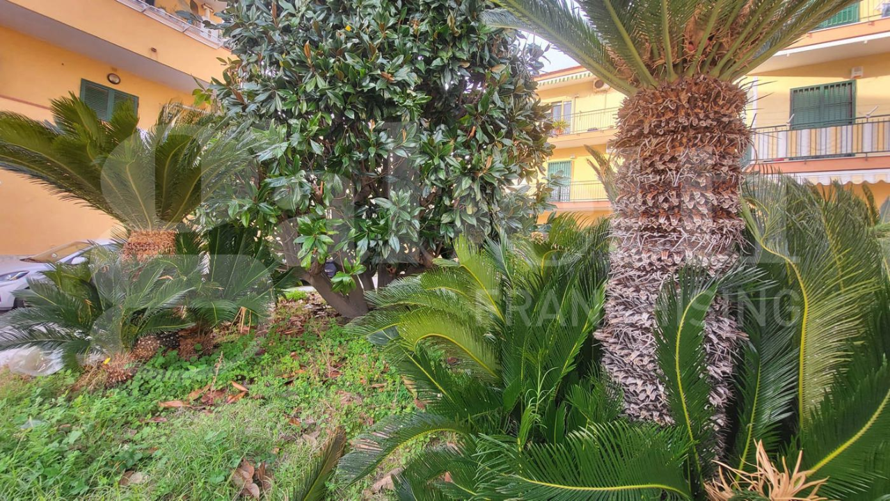 Appartamento - Image 18