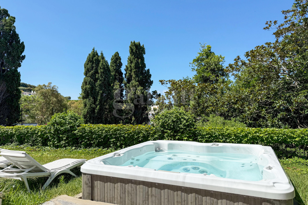 Complesso - Image 17