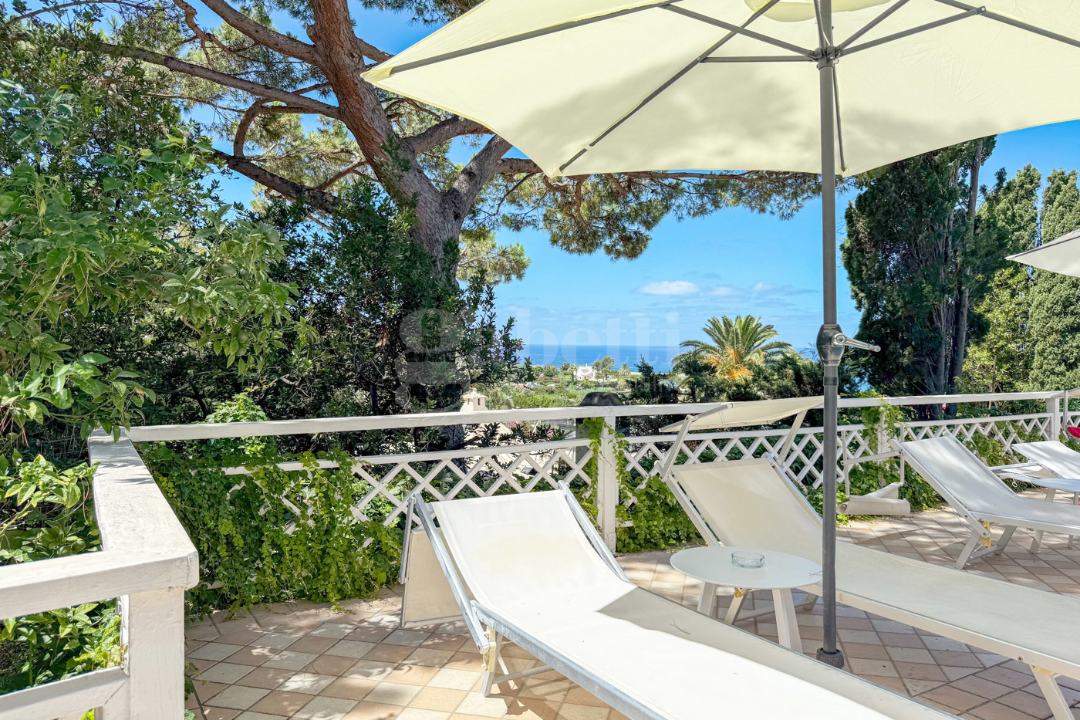 Complesso - Image 29