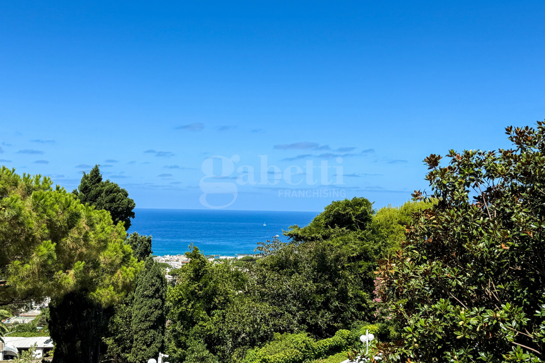 Complesso - Image 50