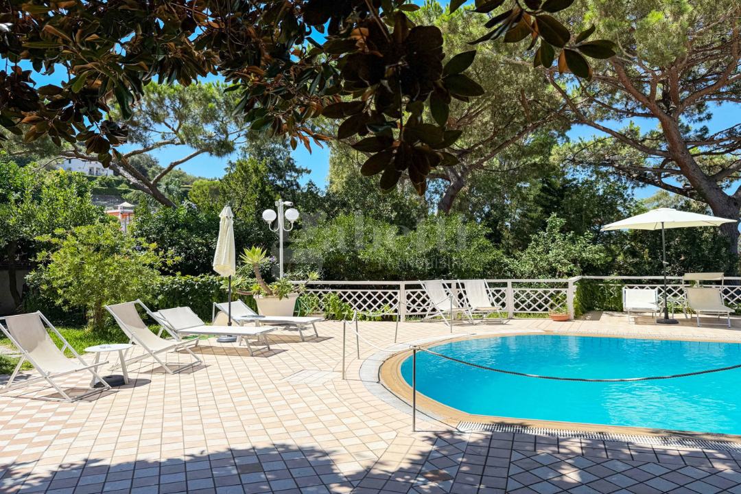 Complesso - Image 11