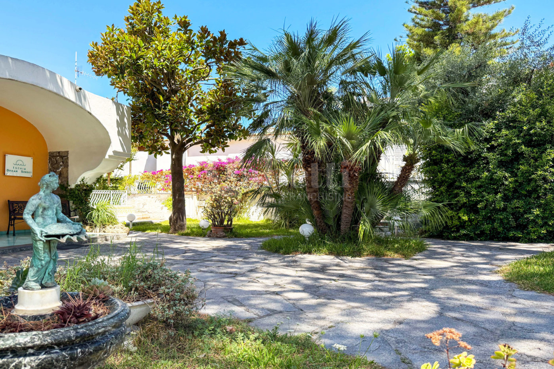 Complesso - Image 47