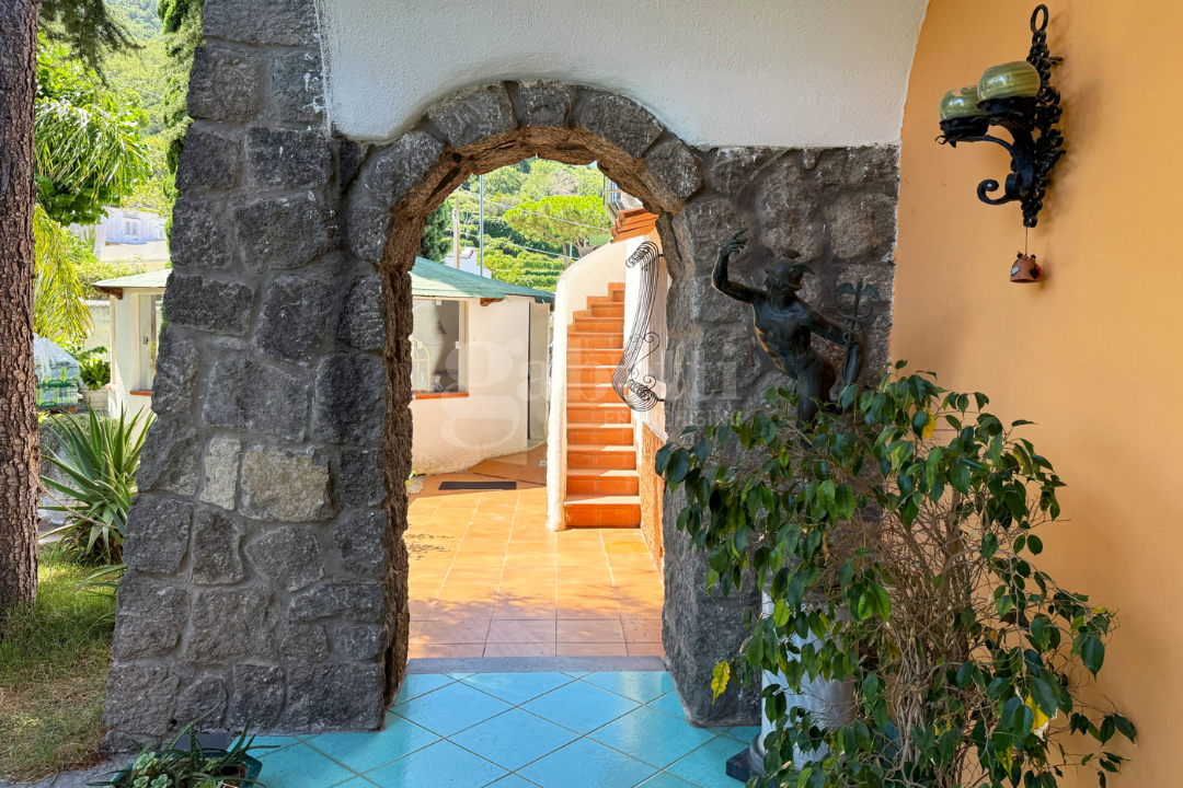 Complesso - Image 33