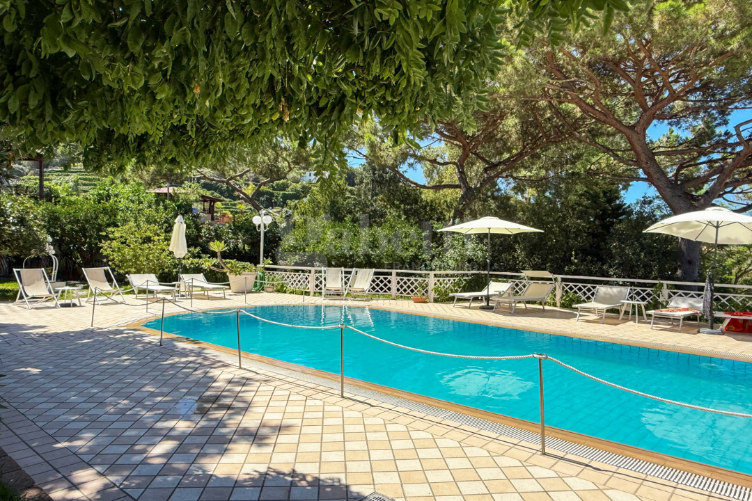 Complesso - Image 16