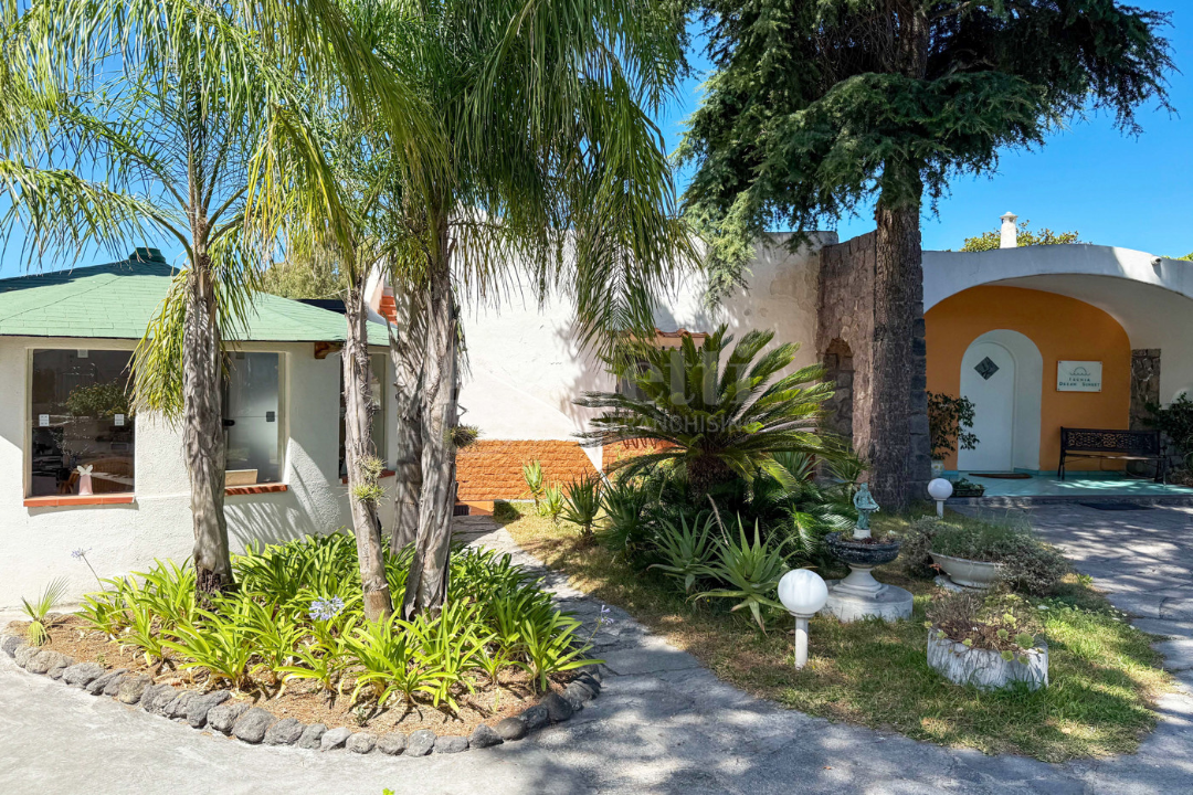 Complesso - Image 38