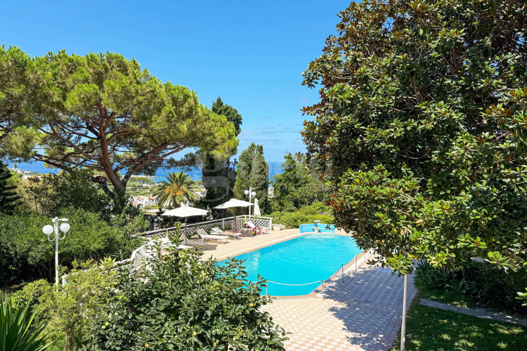 Complesso - Image 26