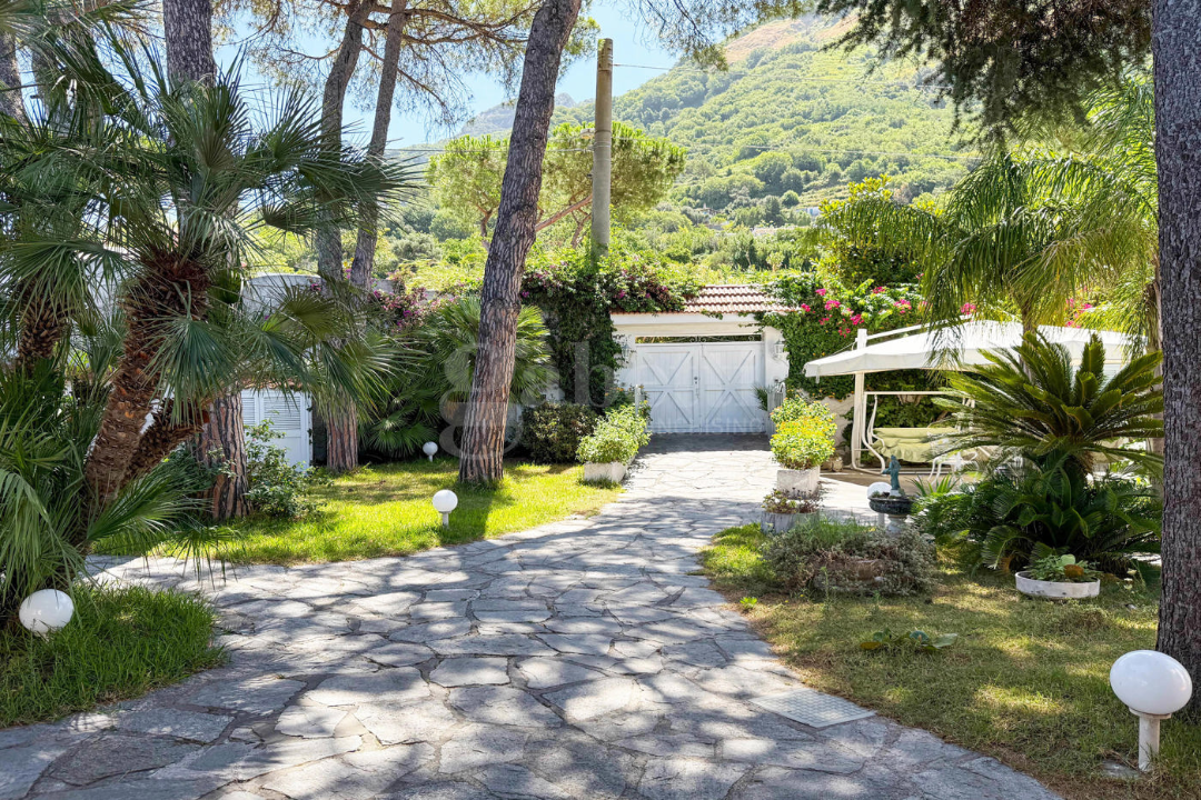 Complesso - Image 48