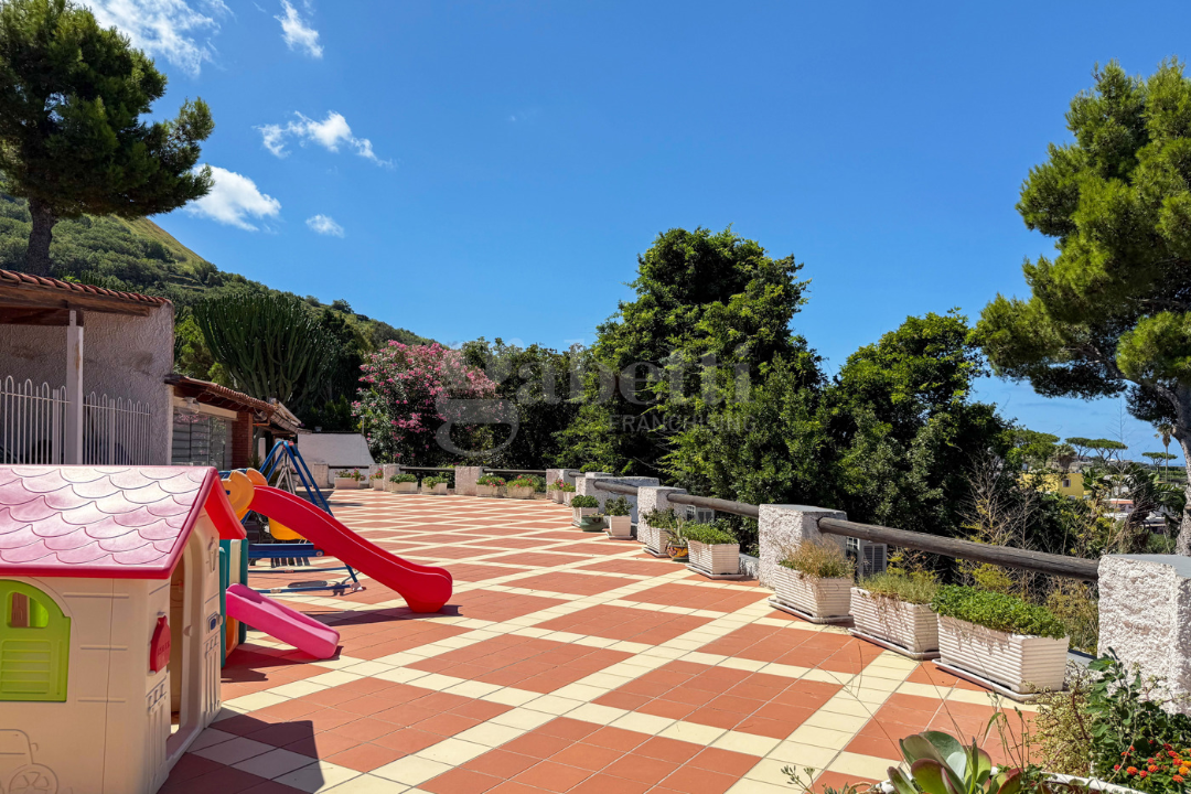 Complesso - Image 23