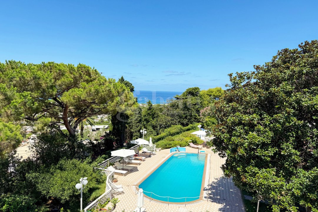 Complesso - Image 43