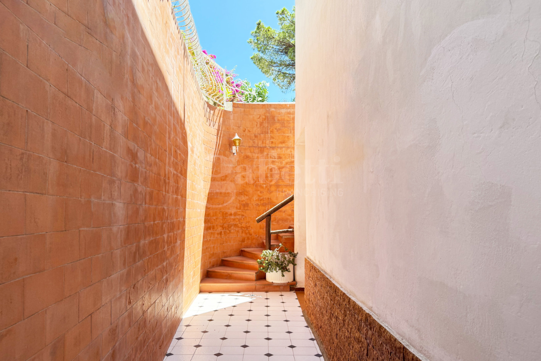 Complesso - Image 33