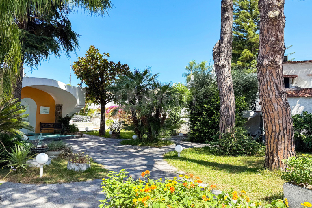 Complesso - Image 39