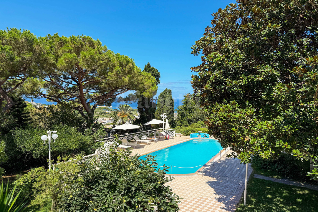 Complesso - Image 10