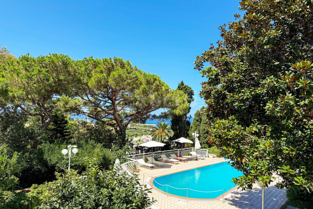 Complesso - Image 44