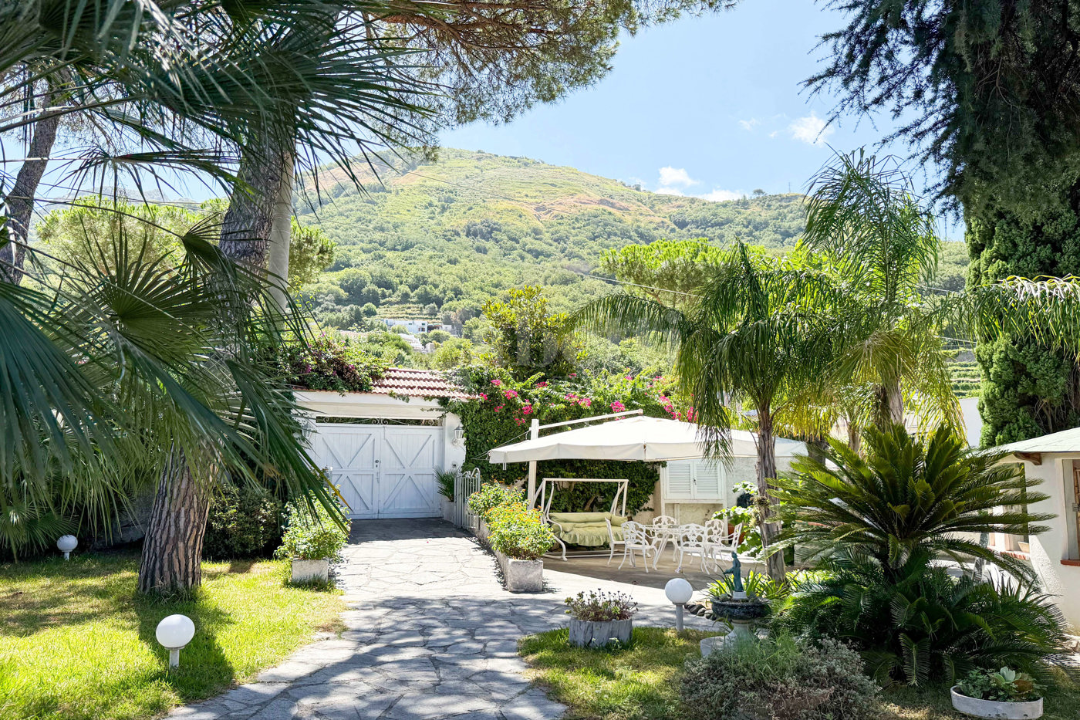 Complesso - Image 49