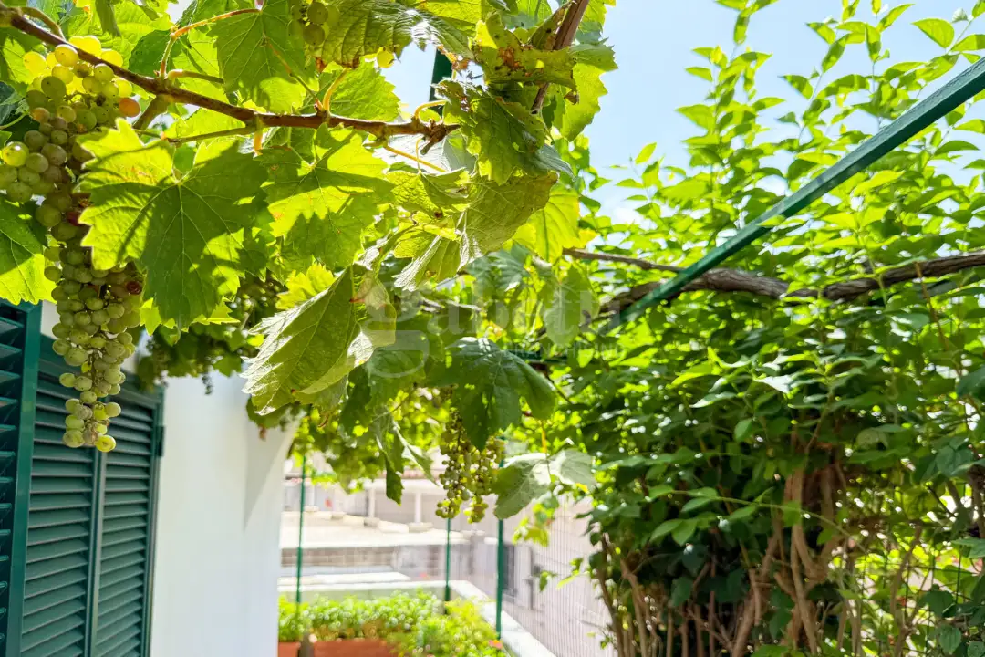 Appartamento - Image 17