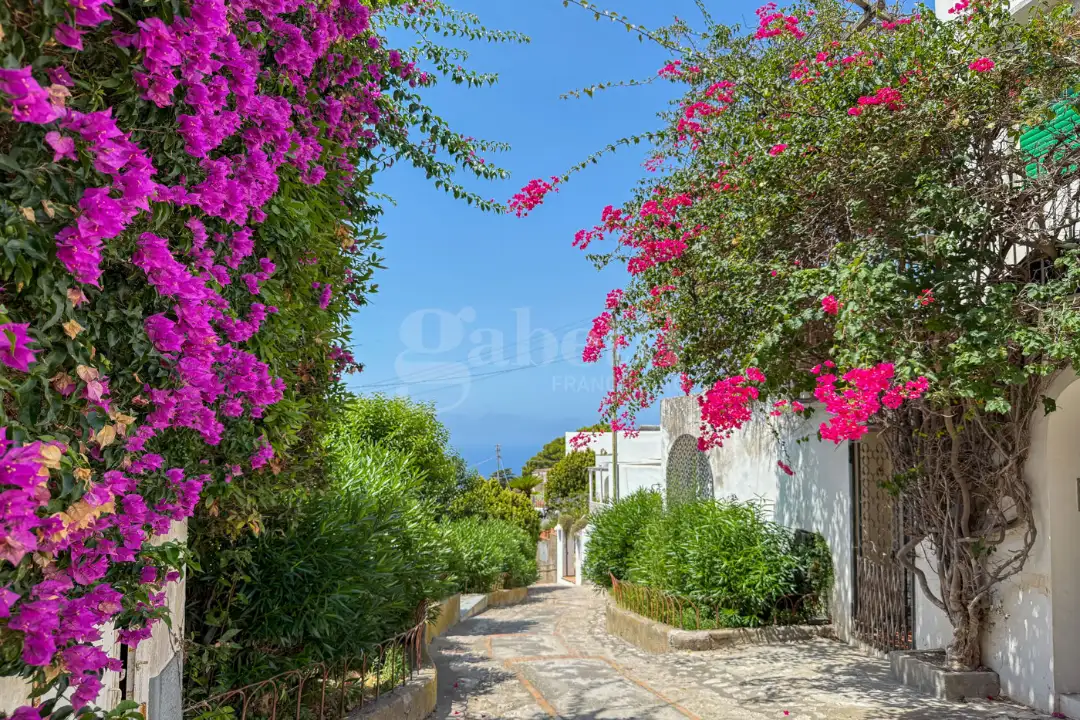 Appartamento - Image 33