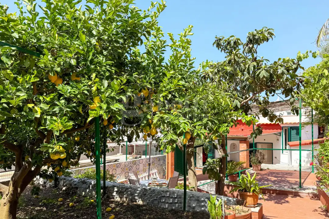 Appartamento - Image 14