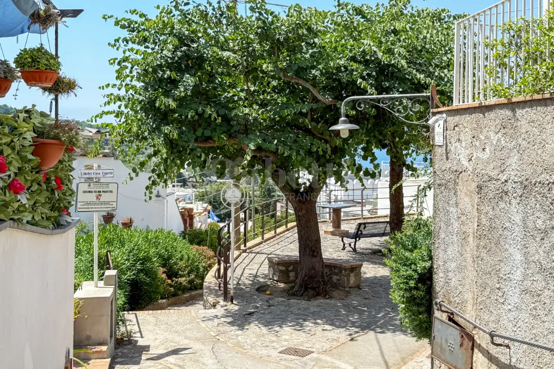 Appartamento - Image 32