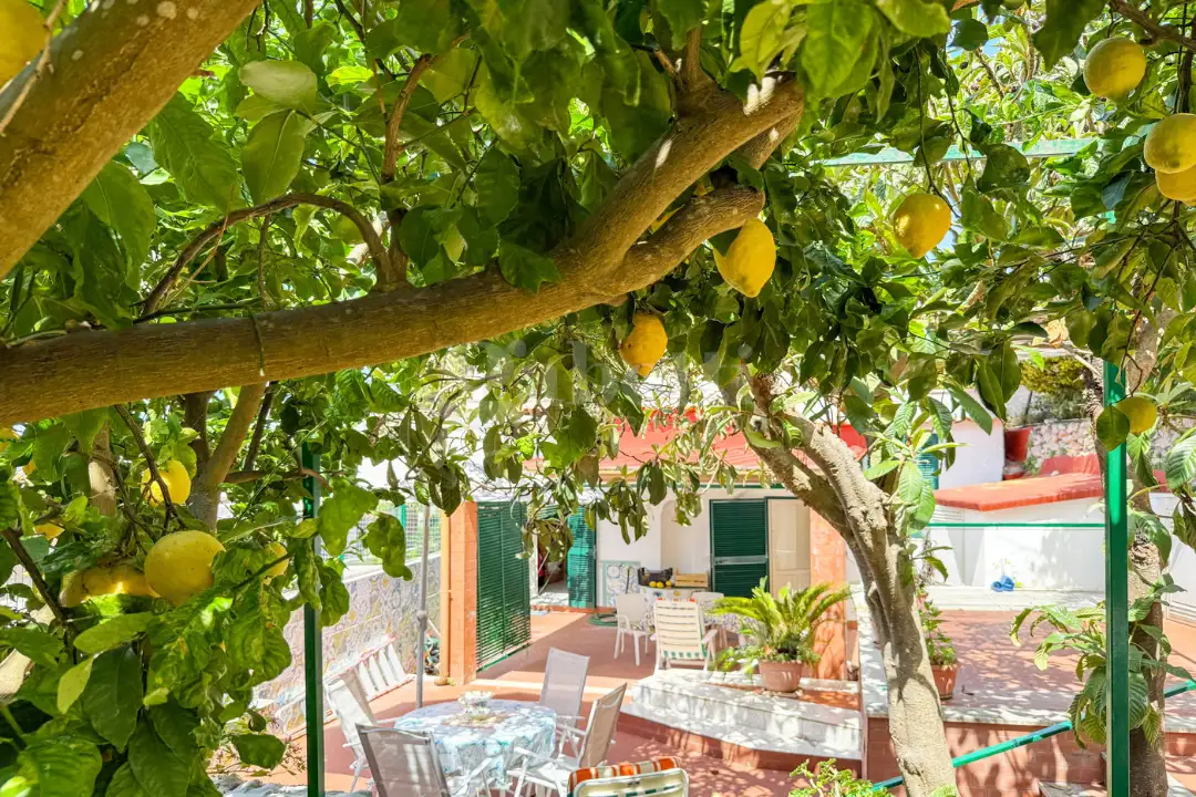 Appartamento - Image 13