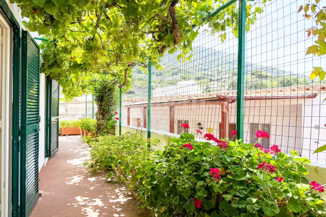 Appartamento - Image 11