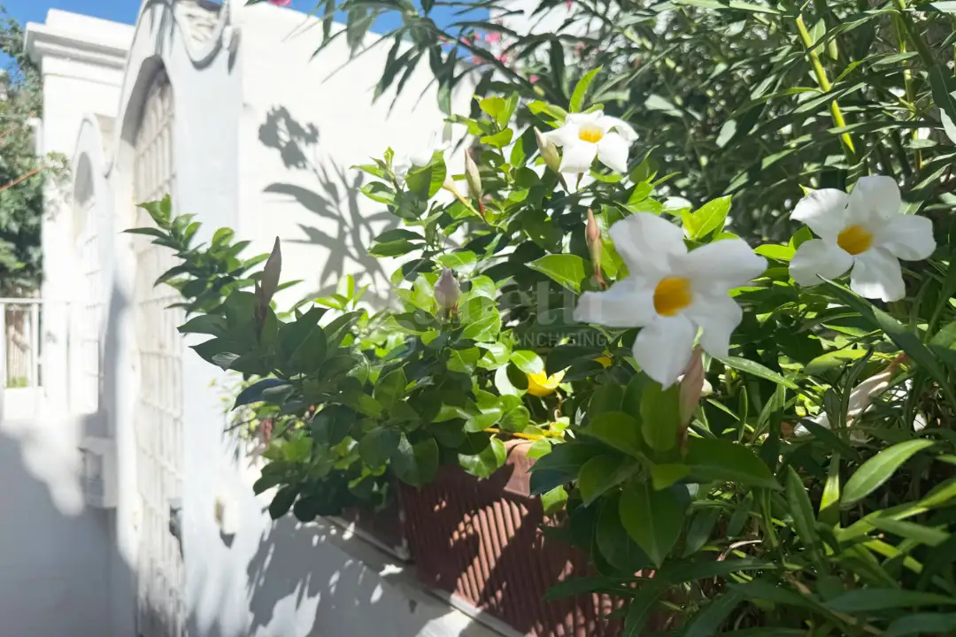 Appartamento - Image 31