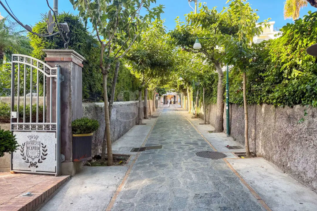 Appartamento - Image 37