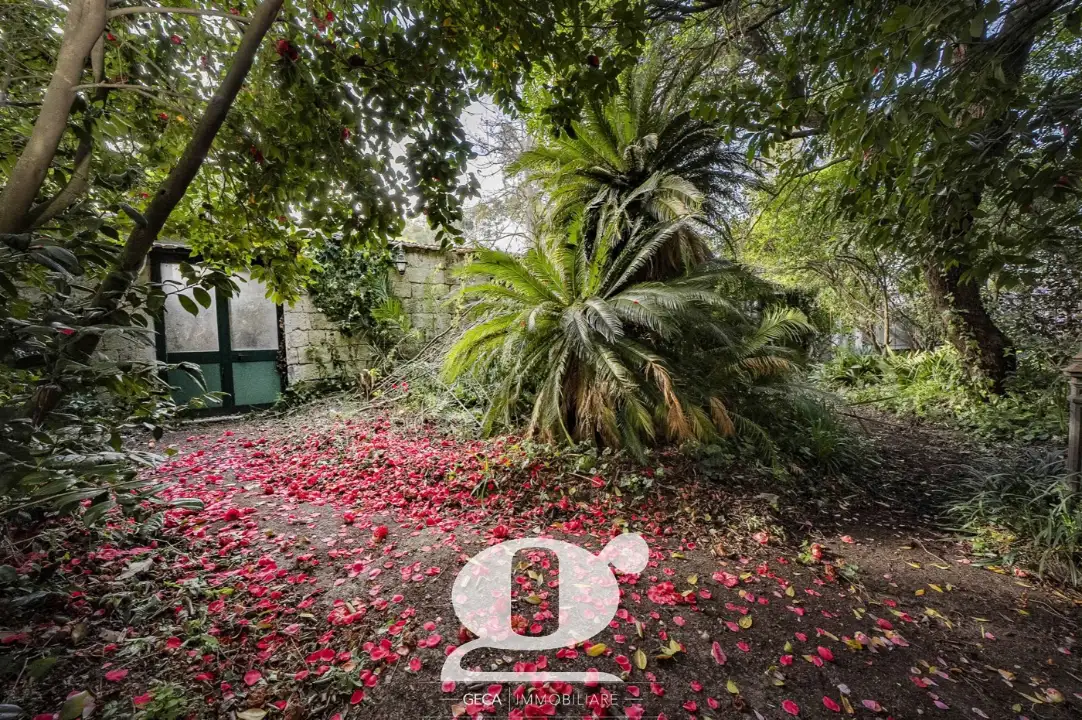 Appartamento - Image 26