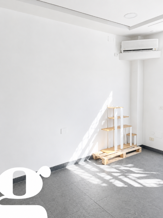 Attività - Image 7