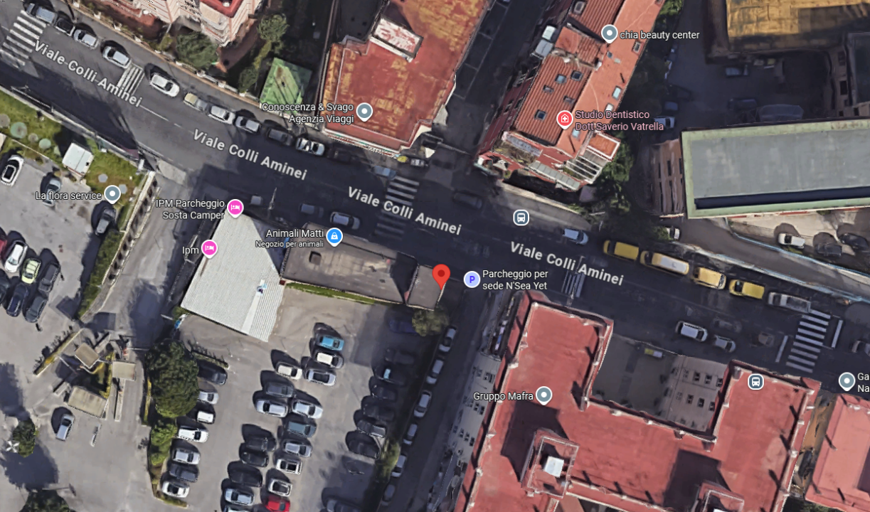 Negozio - Image 17