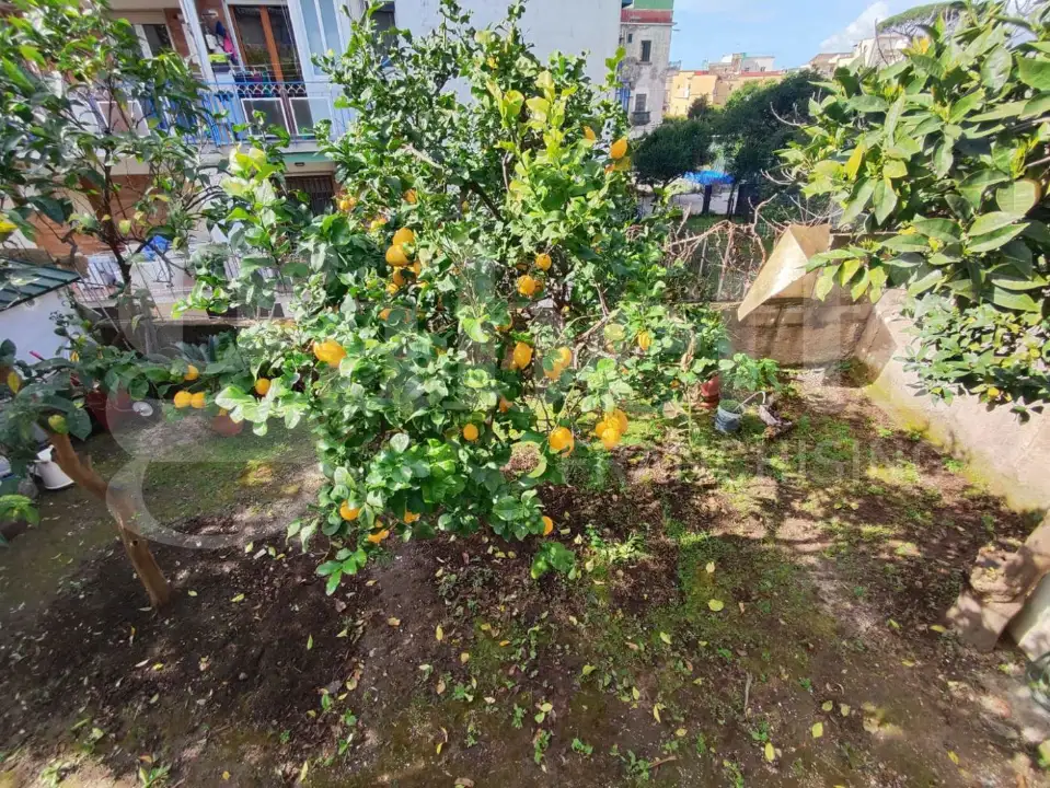 Casa Indipendente - Image 15