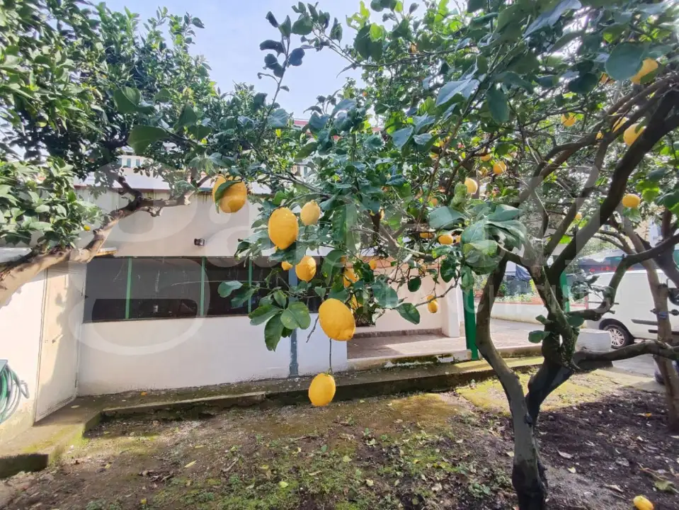 Casa Indipendente - Image 30