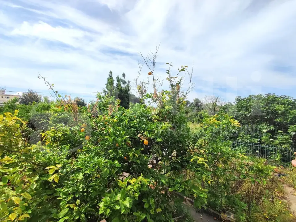 Appartamento - Image 12