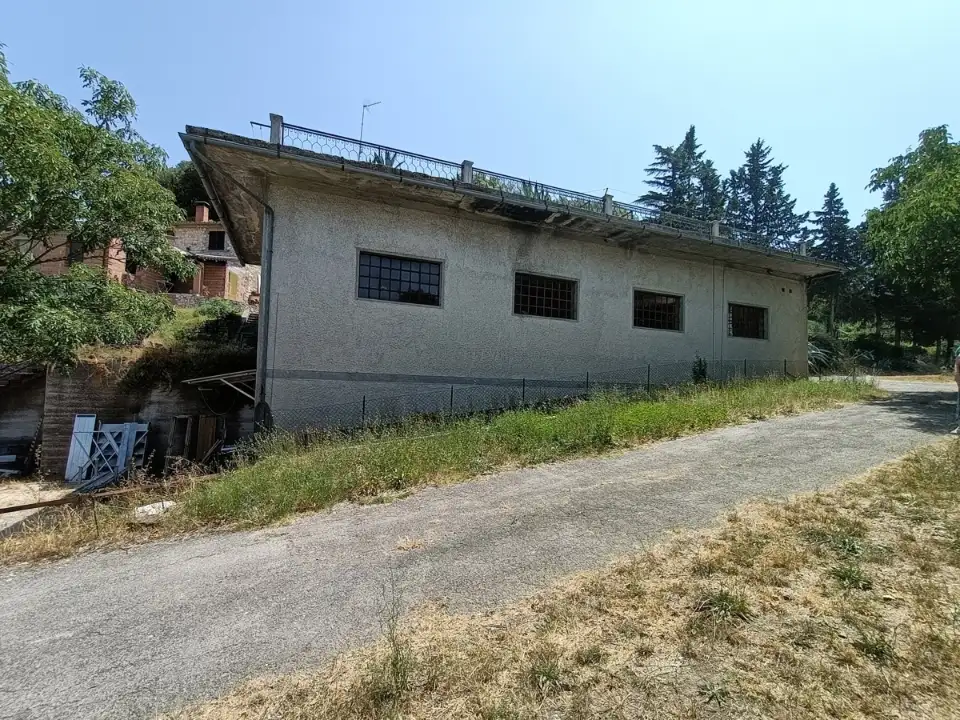 Capannone - Image 15