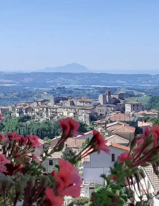 Appartamento - Image 38