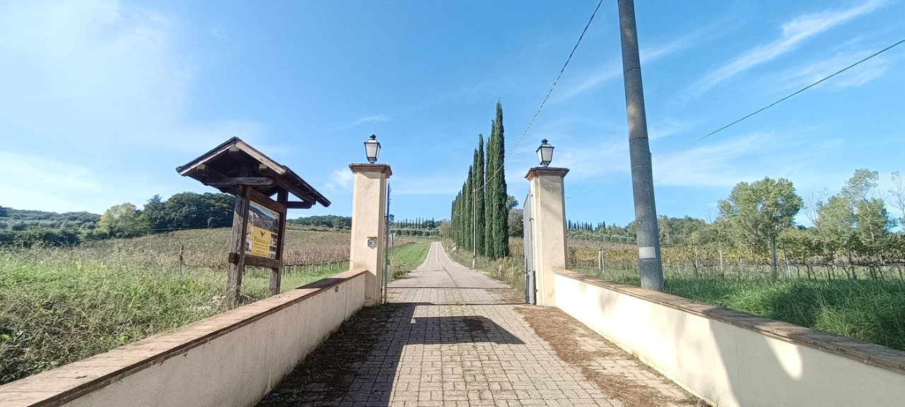 Attività - Image 42