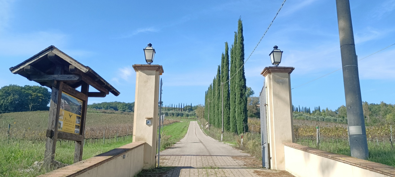 Attività - Image 43