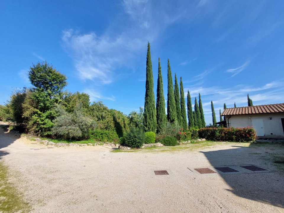 Attività - Image 28