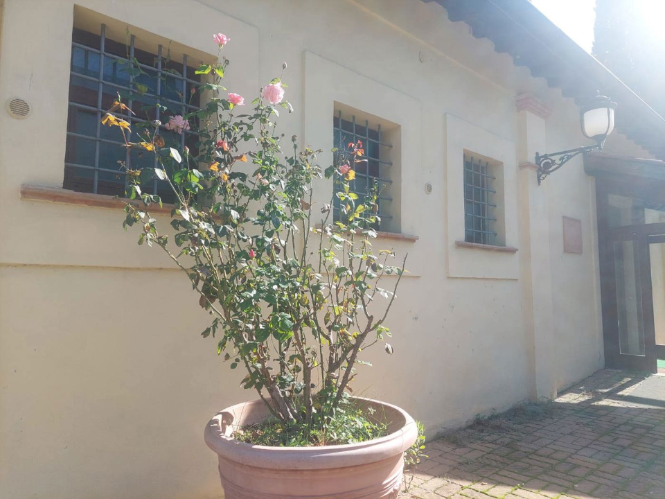 Attività - Image 37