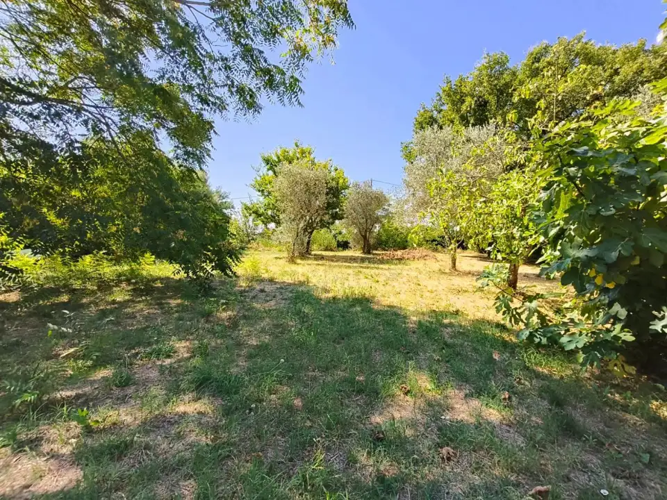 Appartamento - Image 18