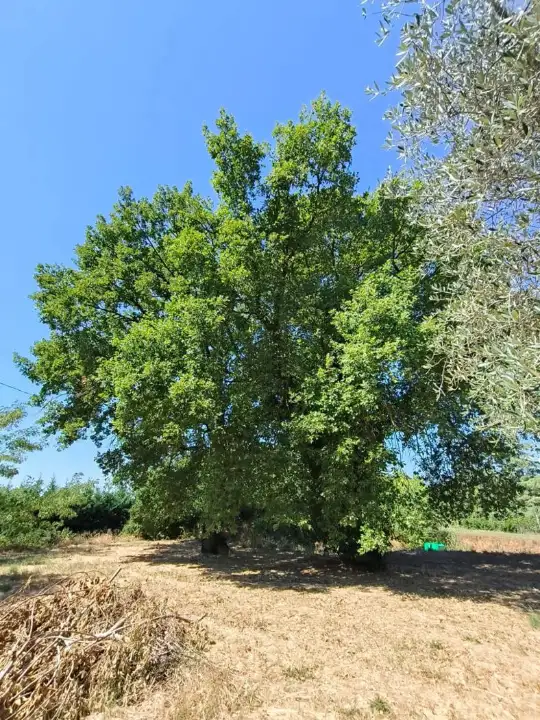 Appartamento - Image 21