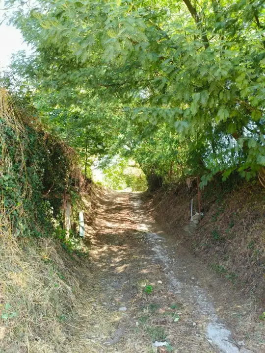 Appartamento - Image 14