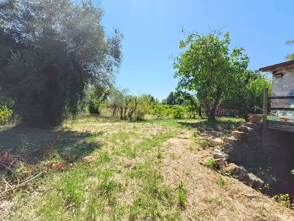 Appartamento - Image 15