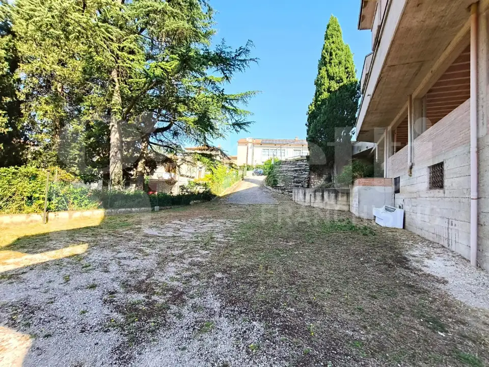 Complesso - Image 23