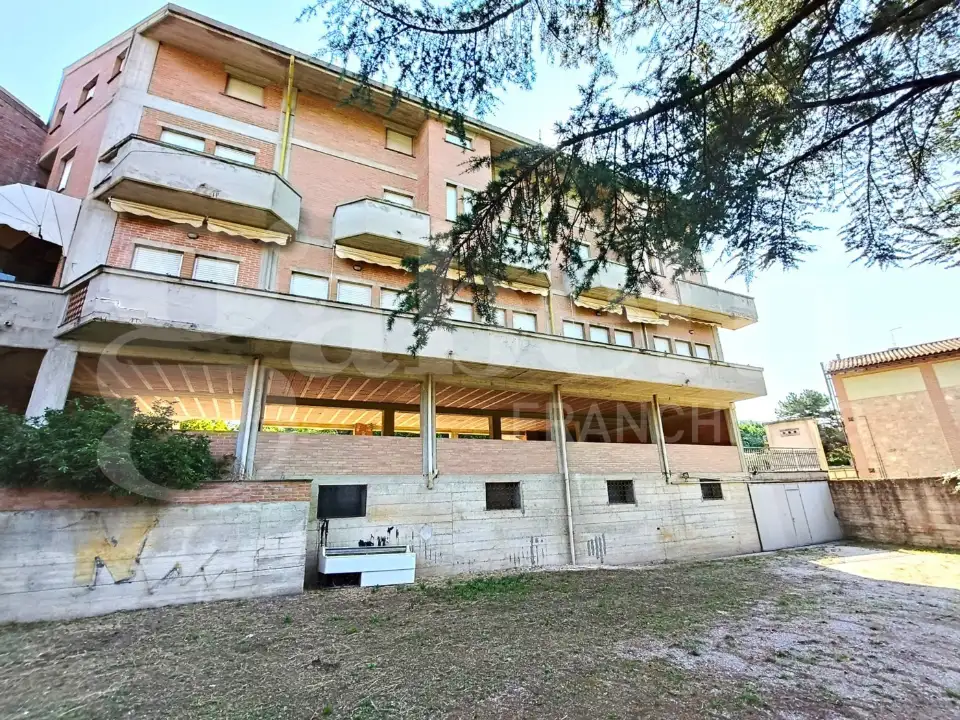 Complesso - Image 21