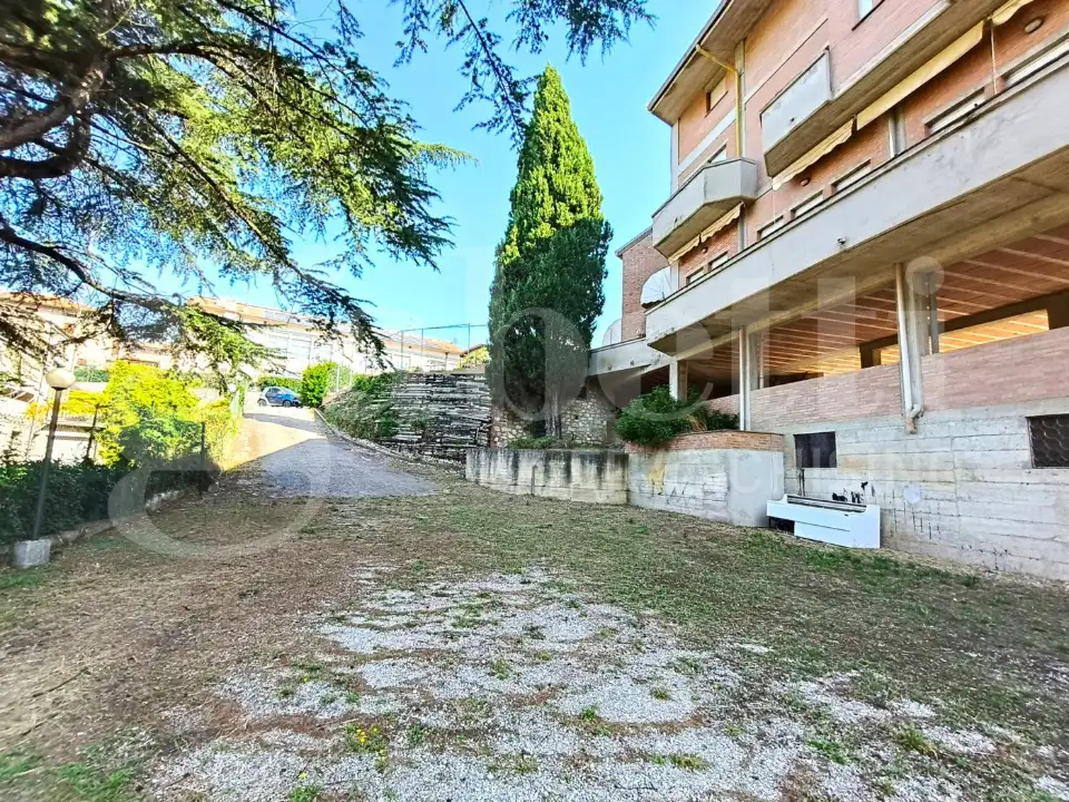 Complesso - Image 22