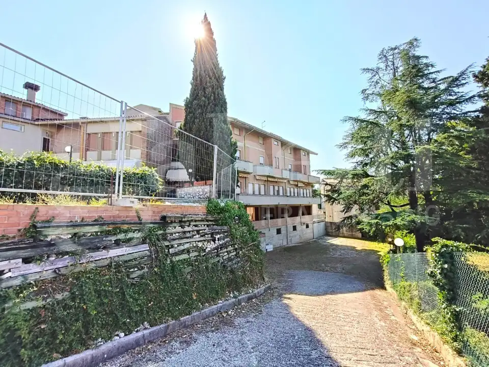 Complesso - Image 11