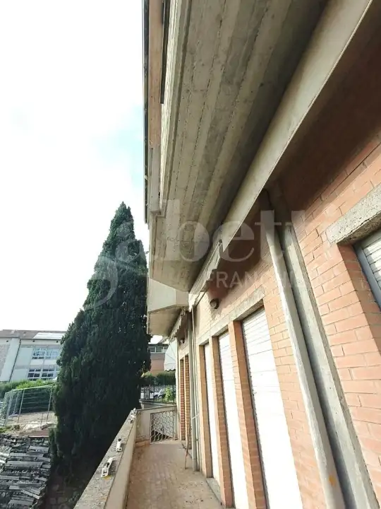 Complesso - Image 44