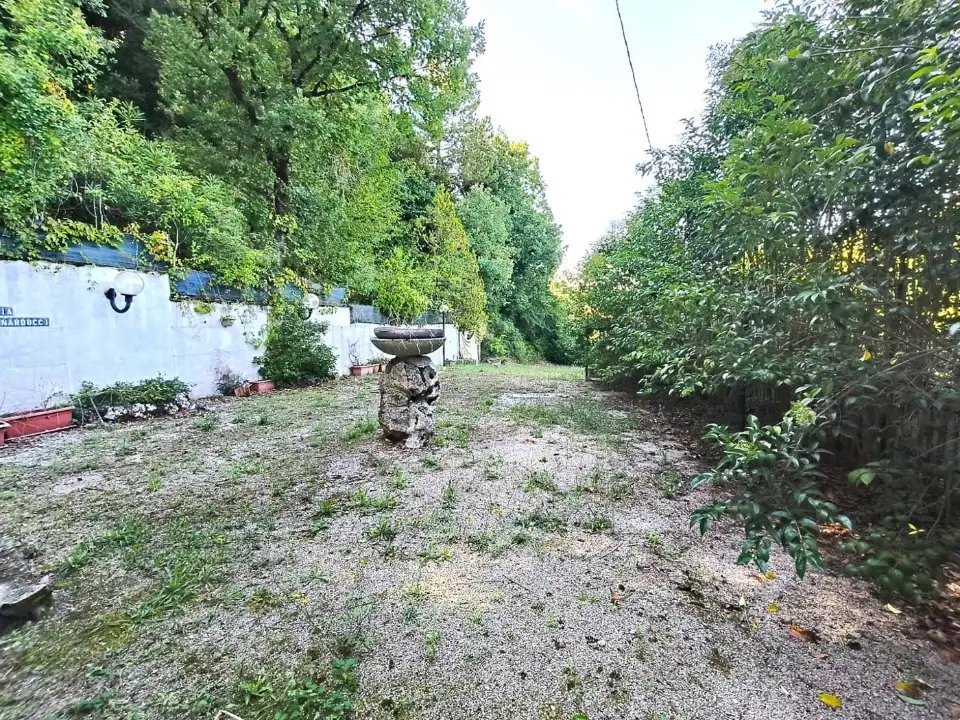 Attività - Image 12