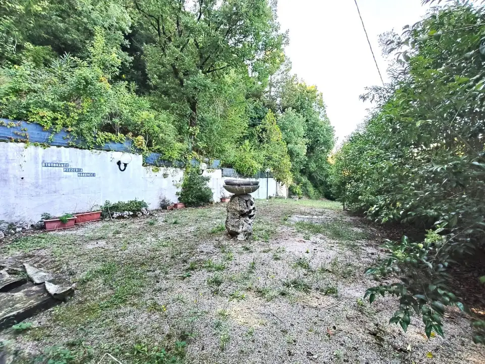 Attività - Image 11