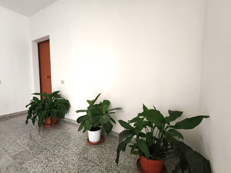 Appartamento - Image 30